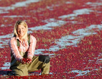 Four Must-Stops Along the Wisconsin Cranberry Trail