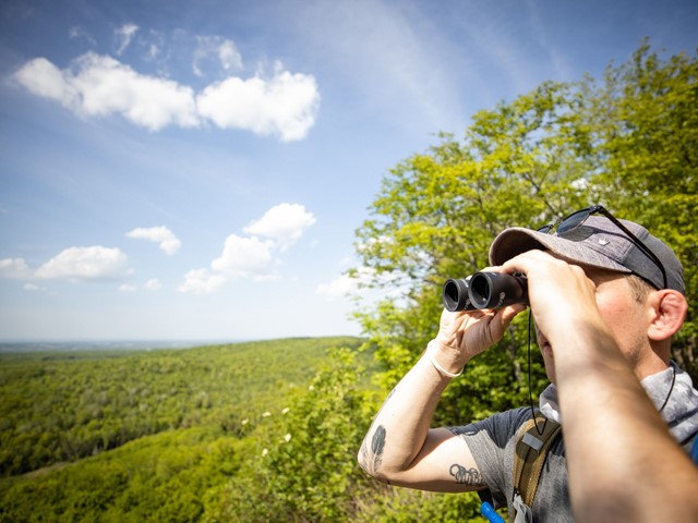 Wisconsin's Bigfoot Hotspots