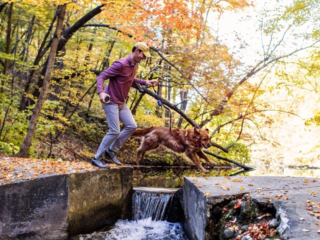 5 Fall Hikes Perfect for Your Pup